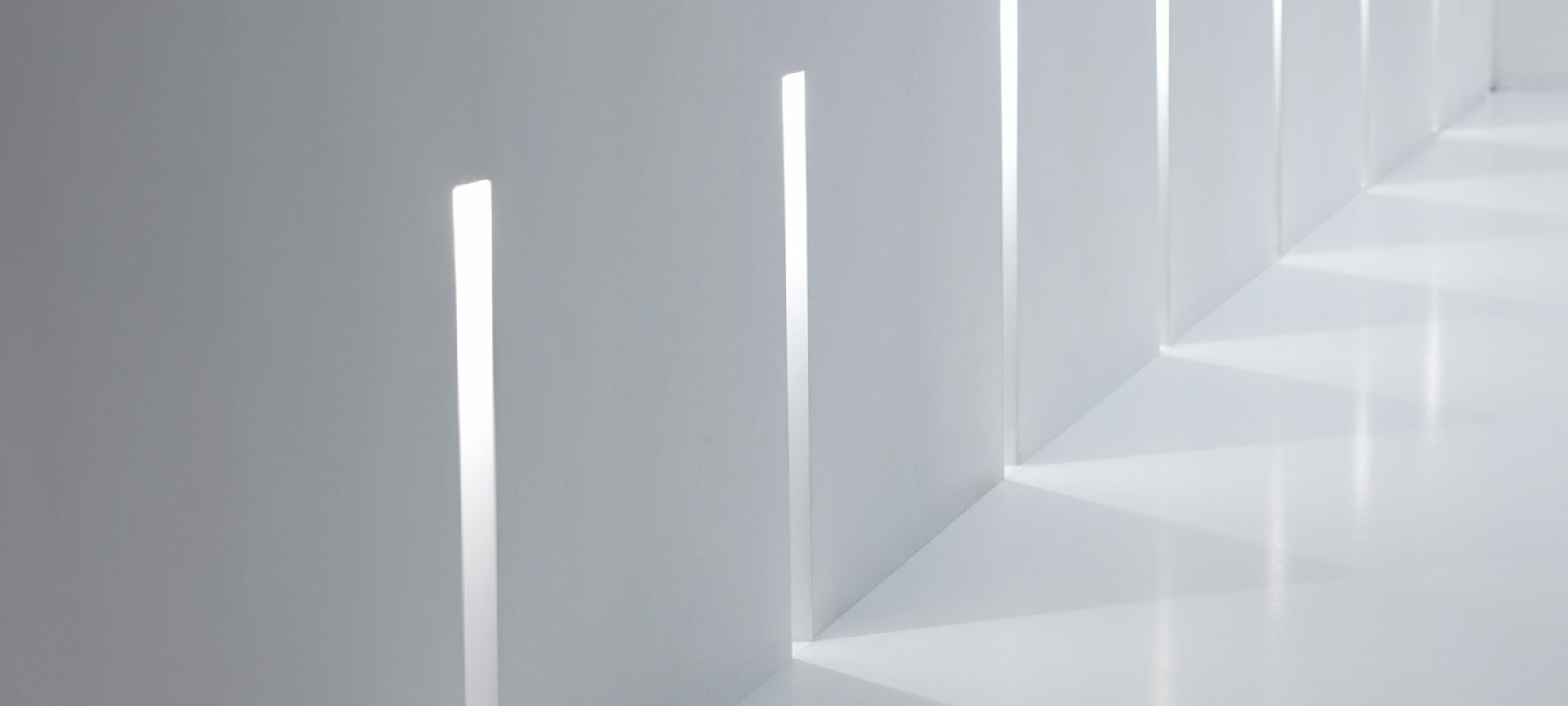 PRO_Web_Index_1264x570px_DELIGHT.jpg